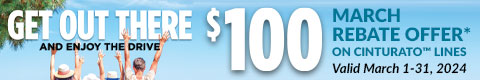 Pirelli $100 Rebate  Banner